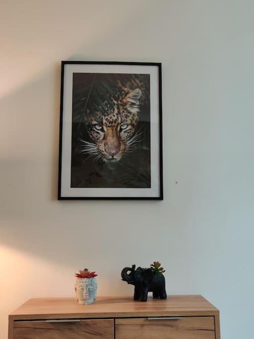 La Jungle Urbaine Avec Garage Prive & Climatisation Lägenhet Perpignan Exteriör bild