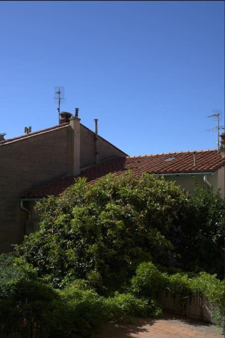 La Jungle Urbaine Avec Garage Prive & Climatisation Lägenhet Perpignan Exteriör bild